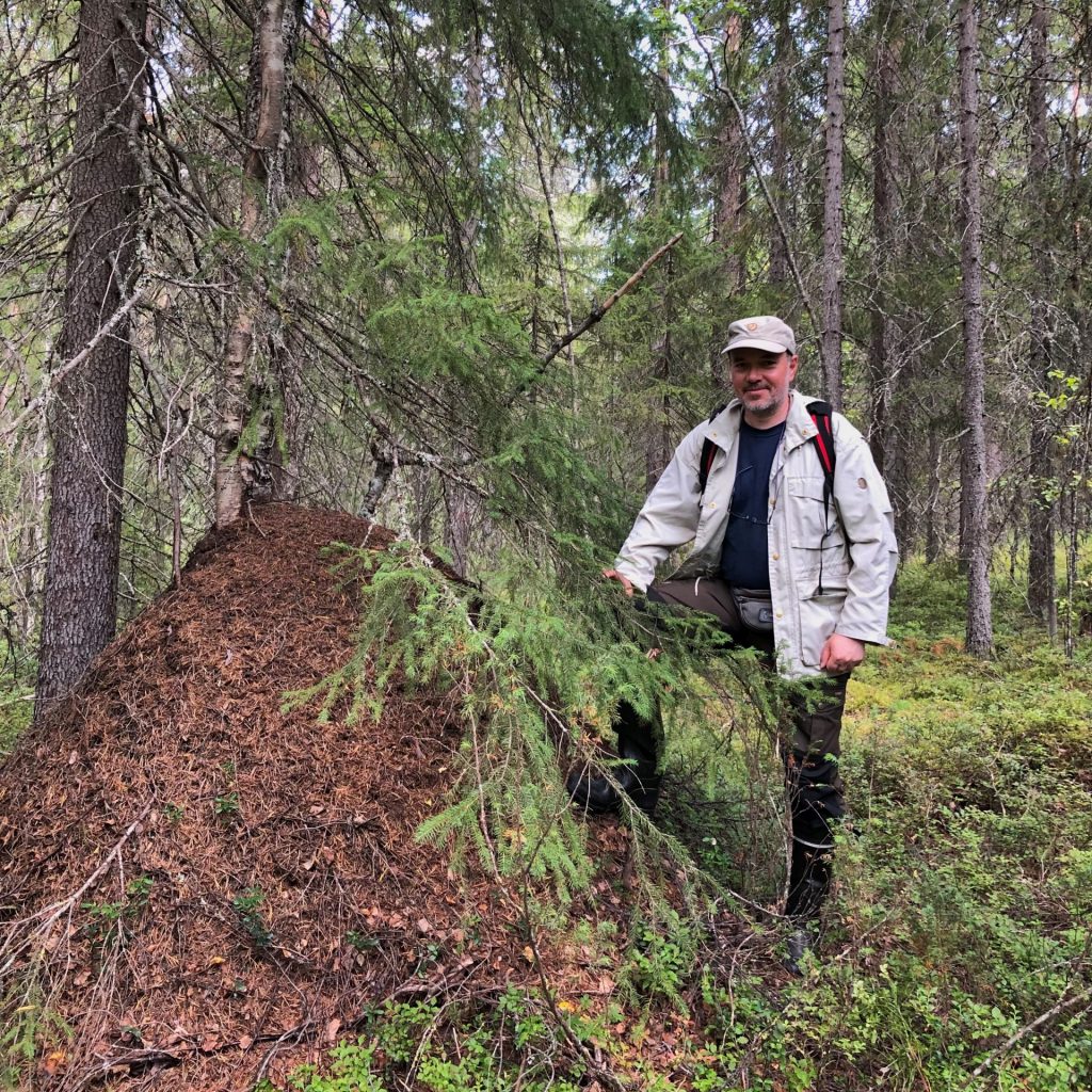 Gergely Várkonyi next to an anthill