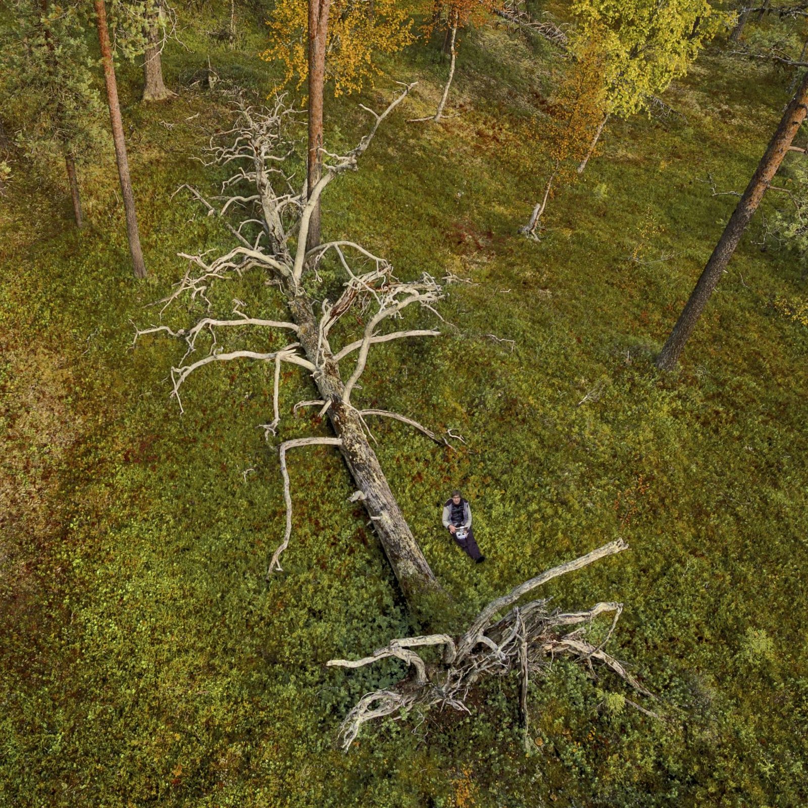 Ritva Kovalaisen selfie dronella