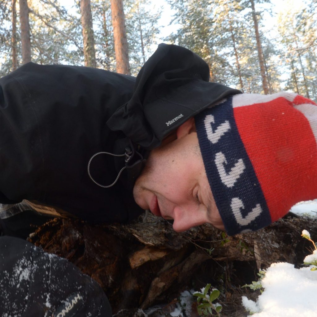 Panu Halme investigating a log